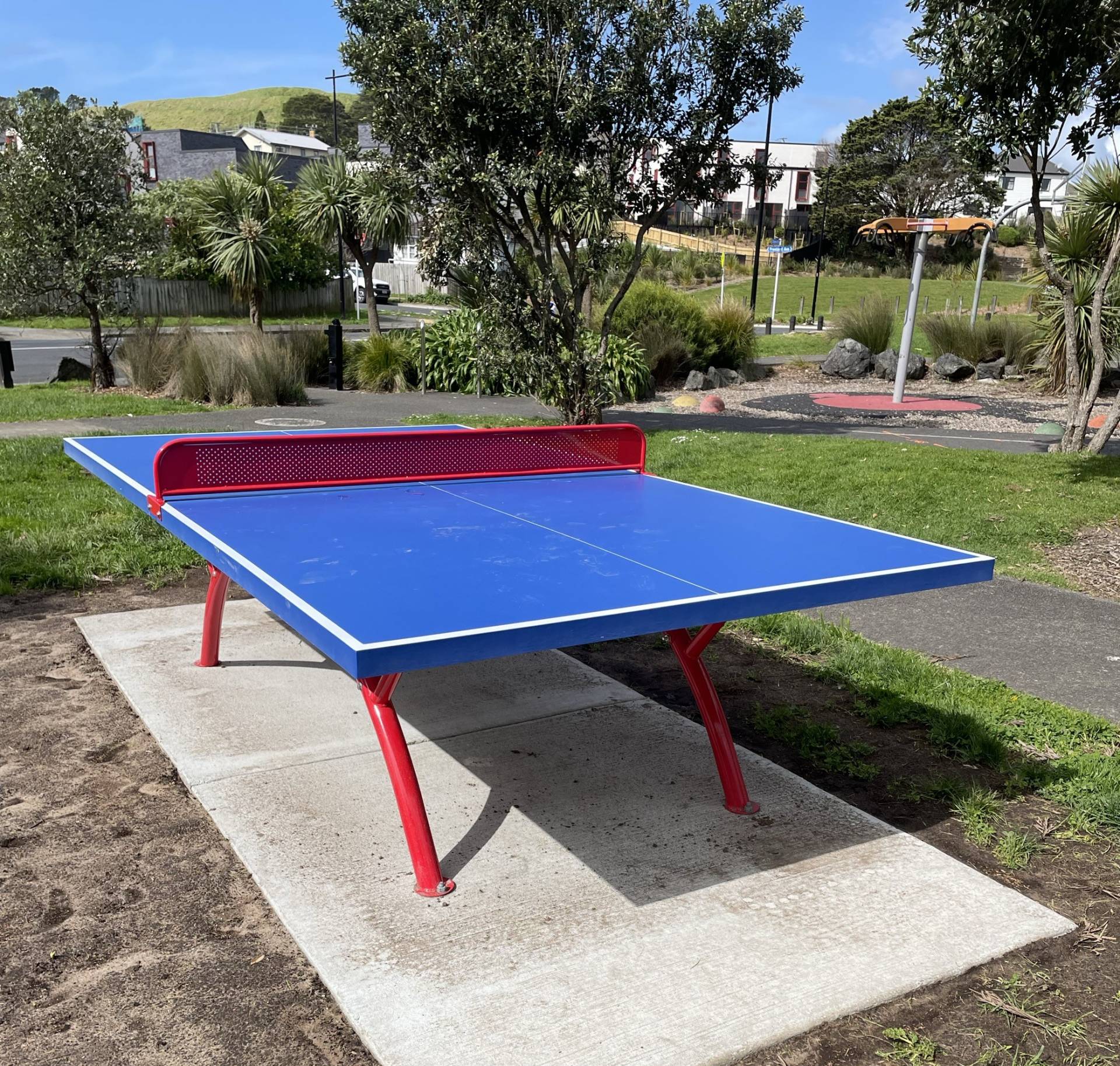 Table tennis Roskill